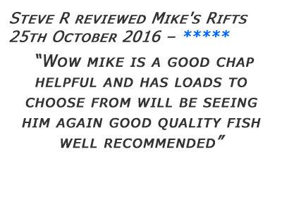 Mikes Rifts Review 16
